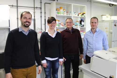 Christian Seutter von Loetzen, Dr. Olivia Hartl-Spiegelhauer, Prof. Dr. Paul Rösch und Dr. Maximilian Hartl freuen sich über ihren Erfolg in der Allergieforschung (von li.).