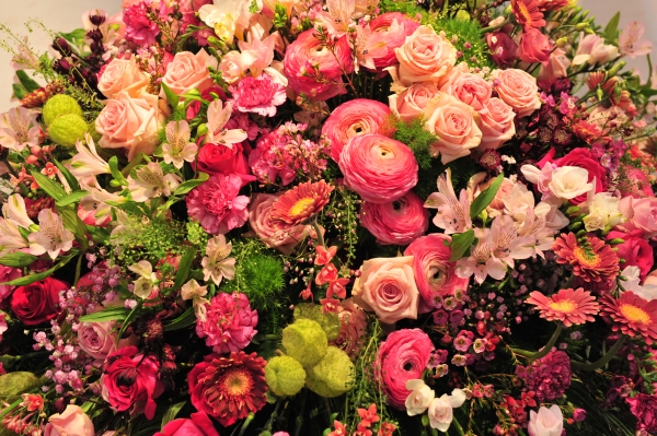 Frühlingsprodukte wie Ranunkeln, Minigerbera, Freesien und andersfarbige Rosen boten für eine Reihe von Kunden des Großhandels eine Alternative zum Klassiker „Rote Rose“.