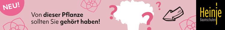 Heinje Baumschule (Anzeige) Heinje Baumschule (Anzeige)
