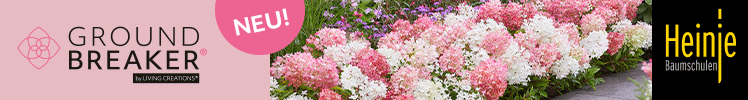 Baumschule Heinje (Anzeige)