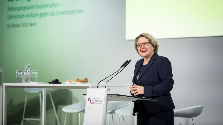 Svenja Schulze während ihrer Rede. Bild:  BMU/Florian Gaertner.