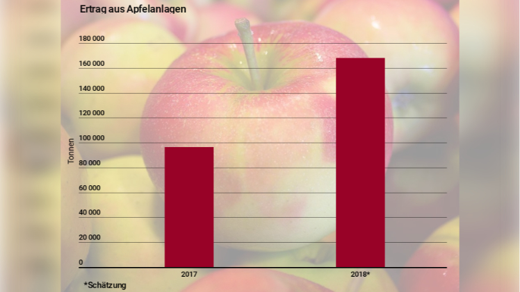 Große Erntemenge bei Äpfeln erwartet. Grafik: Lid.ch.
