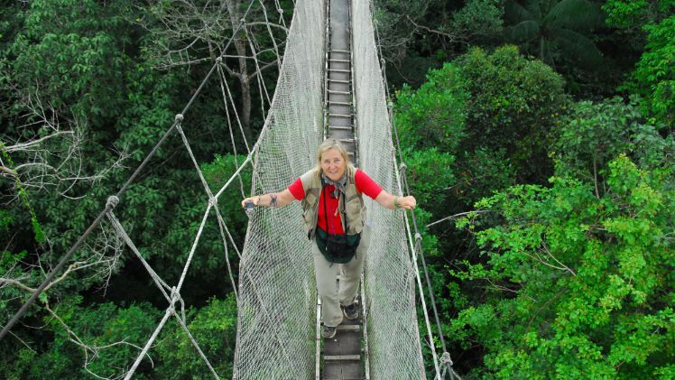 In den Baumkronen zu Hause: Dr. Margaret Lowman von der California Academy of Sciences gibt bei den Deutschen Baumpflegetagen Einblicke in ihre Baumkronen-Forschung. Bild: Magaret Lowman.