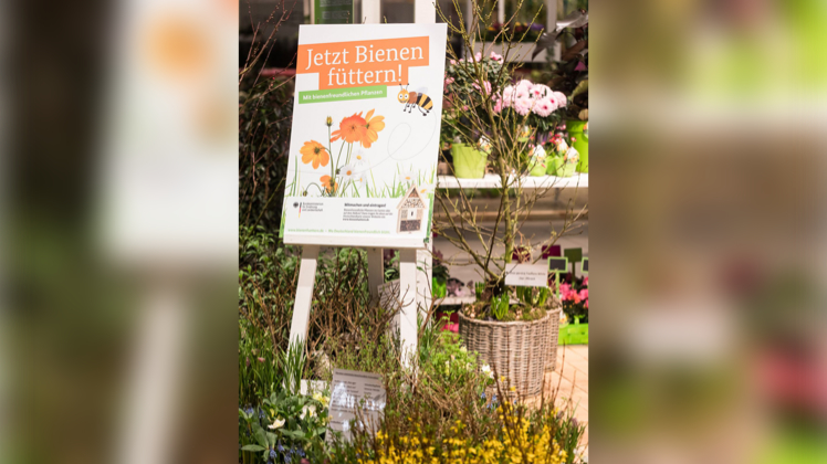 Der ZVG präsentiert an seinem Stand auf der IGW die Initiative "Bienen füttern!". Bild: ZVG/Rafalzyk. Der ZVG präsentiert an seinem Stand auf der IGW die Initiative "Bienen füttern!". Bild: ZVG/Rafalzyk.