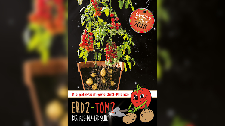 Das Gemüse des Jahres 2018 ist eine galaktisch-gute 2in1-Pflanze von der Erdäpfel und Tomaten geerntet werden können. Bild: Blumenmarketing Austria.