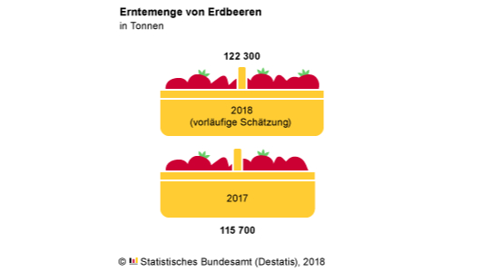 Erntemengen für Erdbeeren 2017 und 2018. Grafik: destatis.