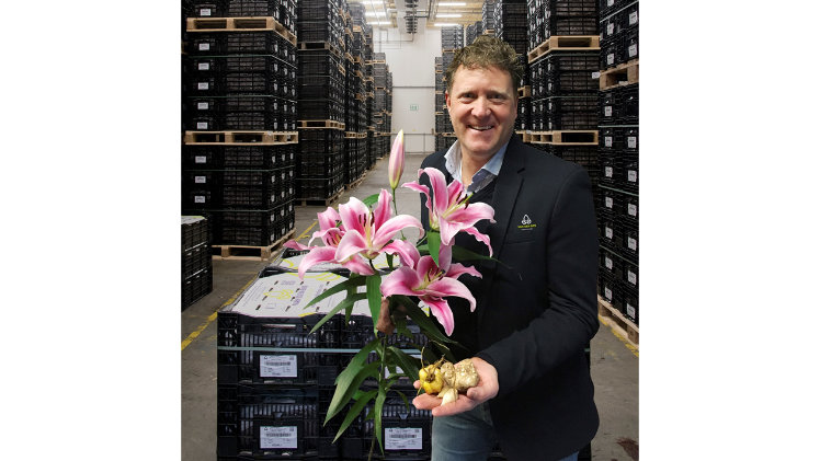 Bas Bakker ist neuer COO bei  Van den Bos Flowerbulbs. Bild: Van den Bos.