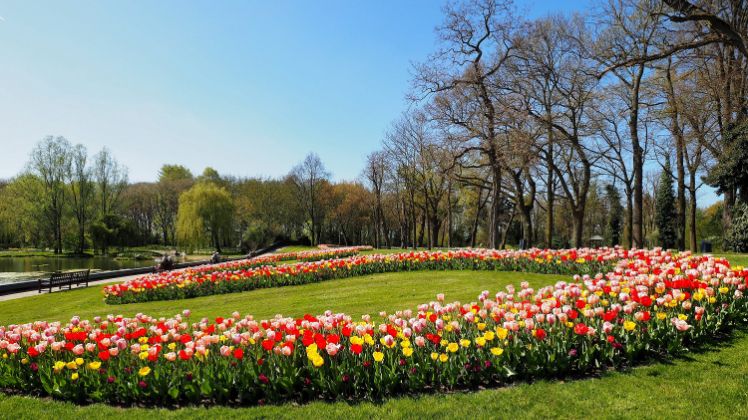Frühlingstraum Tulpen in den Schlossgärten Arcen. Bild: Schlossgärten Arcen.