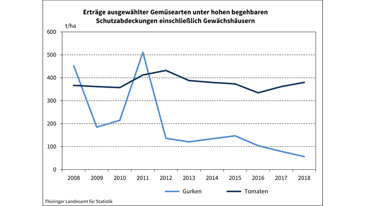 Erträge ausgewählter Gemüsearten unter hohen begehbaren Schutzabdeckungen einschließlich Gewächshäusern. Grafik: Thüringer Landesamt für Statistik.