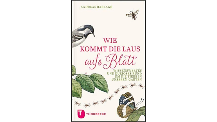 Wie kommt die Laus aufs Blatt?: Wissenswertes und Kurioses rund um die Tiere in unseren Gärten.