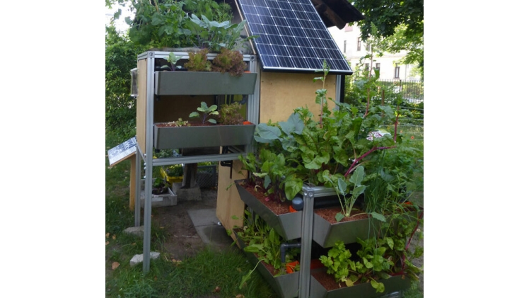 Das Aquaponik-Pilotprojekt in Erlangen 2019: Fisch trifft Pflanze. In ähnlicher Form entsteht eine solche Anlage jetzt auch in Regensburg. Bild: Florian Demling / © LWG Veitshöchheim.