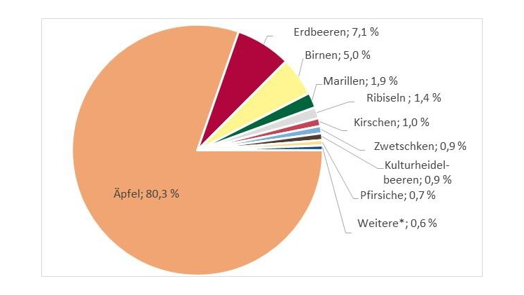 Erwerbsobstproduktion 2022 nach Obstarten. Grafik: STATISTIK AUSTRIA.