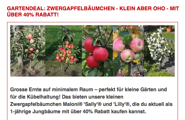 Der Gartendeal. Bild: Lubera.