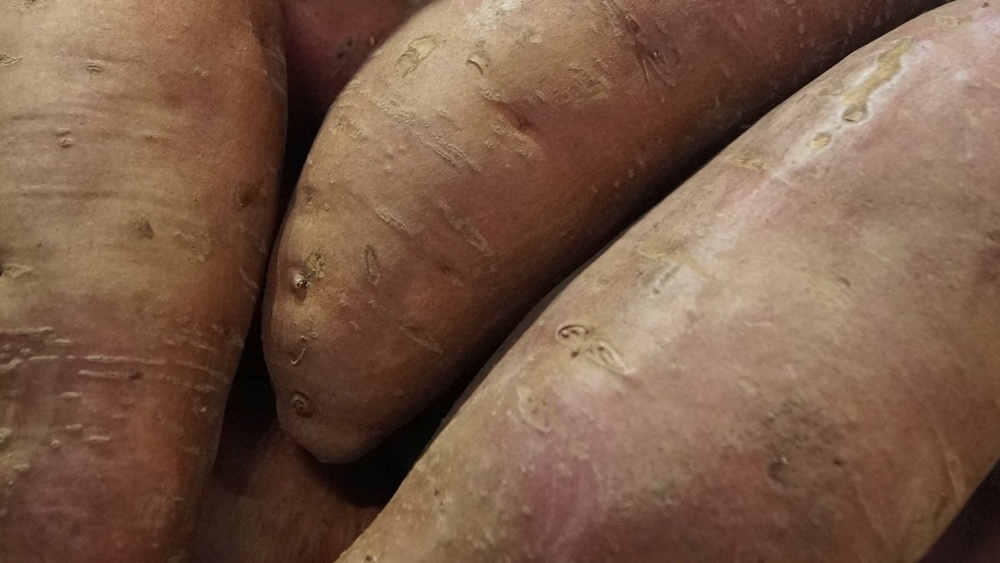 Skartoffel: Vitaminreiche Wurzel | Gabot.de