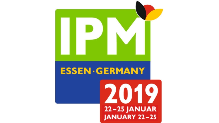 Rund 1.600 Aussteller aus 50 Ländern und Experten aus aller Welt machen die IPM ESSEN vom 22. bis 25. Januar 2019 zur Informations- und Orderplattform Nummer eins der grünen Branche.