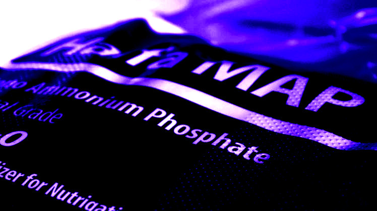 Phosphate. Bild: GABOT.
